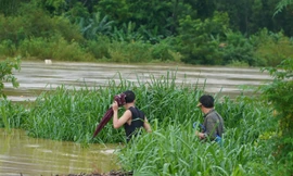 Người dân đổ xô ra ven bờ sông bắt dế mùa lũ