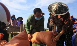 'Giải cứu' hàng chục tấn dưa cho người dân bị phong tỏa do dịch