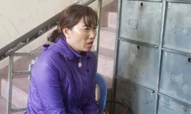 Bà Phạm Thị Mỹ Linh bị bắt tạm giam về tội hành hạ người khác. 