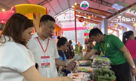 Thương mại điện tử ở TPHCM 'nóng' nhất cả nước