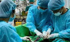 Bác sĩ Việt Nam cứu du khách Úc thoát 'cửa tử'