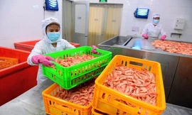 Lao động nghỉ việc hưởng trợ cấp thất nghiệp tăng