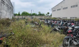 Hàng chục nghìn phương tiện vi phạm nguy cơ hư hỏng, công an TPHCM nói gì?