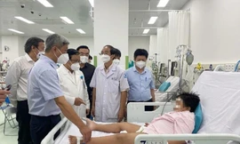 Bé trai 8 tuổi suy đa cơ quan, nguy kịch vì bị... muỗi đốt