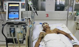 TPHCM: Phát hiện 5 ca sốt rét, tập trung rà soát bệnh sử