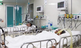 Bố tử vong, 2 con nguy kịch sau cuộc nhậu rượu ngâm