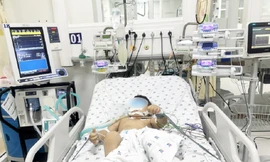 Hai anh em ruột nguy kịch vì bị ong vò vẽ tấn công