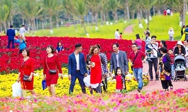Chuyên gia khuyến cáo 5 bước giúp du xuân vui khỏe, an toàn