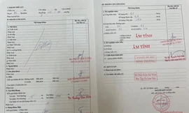 Làm giả giấy khám sức khỏe, các kết quả xét nghiệm... để thi giấy phép lái xe