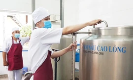 Dây chuyền sản xuất thuốc y học cổ truyền đầu tiên đạt chuẩn của Tổ chức Y tế Thế giới