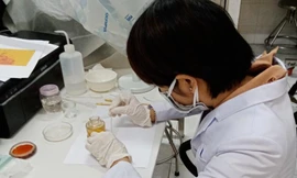 Bệnh sốt rét có nguy cơ lây lan tại TPHCM hay không?