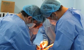 Bác sĩ Việt Nam dùng màng tim bò làm động mạch cứu sống người bệnh 'ngàn cân treo sợi tóc'