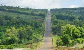 Gia Lai sẽ có 2 tuyến cao tốc kết nối với các tỉnh