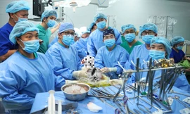 Người đàn ông bị đá đè chết não hiến tạng cứu 7 người khác