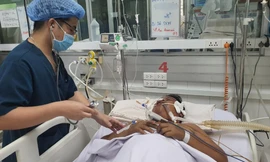 TPHCM: Hơn 4.600 ca mắc sốt xuất huyết, nhiều 'điểm nóng' ngay quận trung tâm