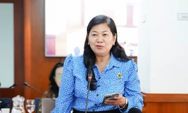 Sở Nội vụ TPHCM nêu lý do 5 huyện không lên được quận