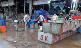 TPHCM: Bảo vệ chợ đầu mối Bình Điền trong vòng vây dịch COVID-19