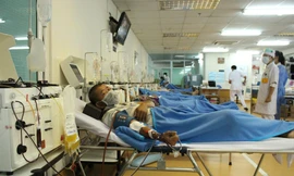 TPHCM cần lập 'ngân hàng máu sống' ngay tuyến huyện, chủ động ứng phó kịch bản thêm F0 