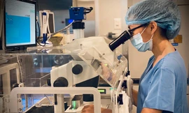 Thụ tinh ống nghiệm miễn phí cho 80 cặp vợ chồng hiếm muộn