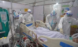 Ảnh minh họa: Internet