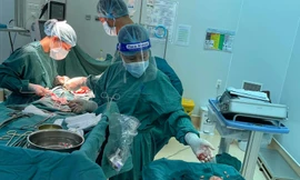 Hơn 100 khối bướu như 'quầy dừa' xếp đầy ổ bụng bệnh nhân