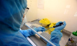 3 ca nhiễm biến chủng Omicron ngoài cộng đồng tại TPHCM