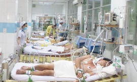 TPHCM: 29 người chết vì sốt xuất huyết, 113 ổ dịch trong cộng đồng