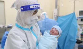 Bị nợ BHXH có ảnh hưởng tới chế độ thai sản?