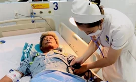 Bị đàn ong mật tấn công, người đàn ông sốc phản vệ