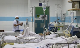 Hai người từ châu Phi về TPHCM bị hôn mê, suy thận vì sốt rét ác tính