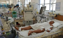 TPHCM: Ra 'tối hậu thư' xử lý vi phạm phòng chống dịch sốt xuất huyết