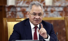 Bộ trưởng Quốc phòng Nga Sergei Shogu. (Ảnh: Sputnik)