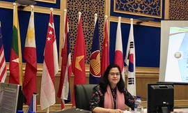 PGS.TS. BS. Trần Thị Giáng Hương. (Ảnh: Mofa)