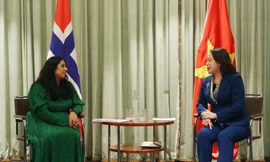 Phó Chủ tịch nước Võ Thị Ánh Xuân tiếp Bộ trưởng Văn hóa và Bình đẳng Na Uy Lubna Jaffery. (Ảnh: Mofa)
