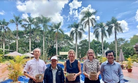 Hình ảnh 3 Tổng lãnh sự Mỹ, Nhật Úc trong chuyến thăm Đồng bằng sông Cửu Long. (Ảnh: TLS Mỹ)