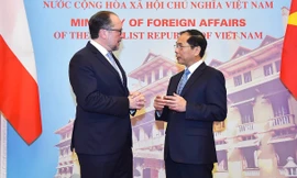 Bộ trưởng Ngoại giao Bùi Thanh Sơn tiếp người đồng cấp Áo Alexander Schallenberg. (Ảnh: baoquocte)