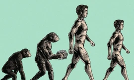 Dân số thế giới đã đạt ngưỡng 8 tỷ người