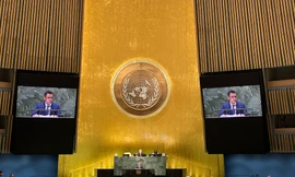 Đại sứ Đặng Hoàng Giang phát biểu tại Đại hội đồng Liên Hợp Quốc ngày 22/2. (Ảnh: Mofa)