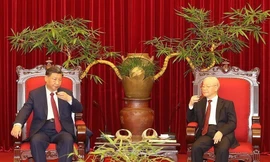 Tổng Bí thư Nguyễn Phú Trọng mời Tổng Bí thư, Chủ tịch nước Trung Quốc Tập Cận Bình trà đặc biệt
