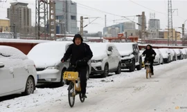 Tuyết phủ trắng những chiếc xe đậu dọc một con đường ở thủ đô Bắc Kinh, Trung Quốc, ngày 15/12. (Ảnh: Reuters)