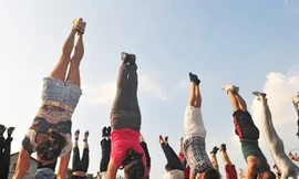 Người dân Đài Loan 'thi nhau' trồng cây chuối