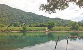 Phong Nha - Kẻ Bàng rúng động tin trúng trầm 100 tỷ