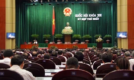 Gửi gắm các đại biểu Quốc hội