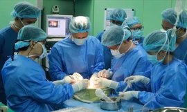 Các bác sĩ thực hiện ca ghép gan tại Bệnh viện Đại học Y dược TPHCM.