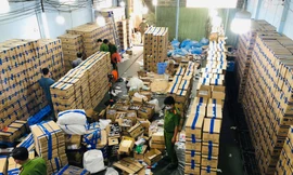 Tận thấy hơn 2,3 triệu chiếc găng tay giả chuẩn bị tuồn ra thị trường 