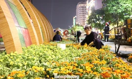 Thâu đêm thi công đường hoa Nguyễn Huệ phục vụ tết Nguyên đán