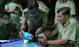 Lực lượng chức năng kiểm tra lô hàng.