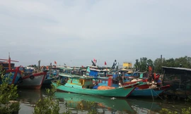 Tàu thuyền neo đậu ở huyện Cần Giờ tránh bão hồi tháng 11/2018.