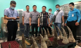 Lực lượng chức năng kiểm tra lô hàng.