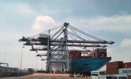 Chiêm ngưỡng 'siêu tàu' vận tải container lớn bậc nhất thế giới cập cảng Việt Nam